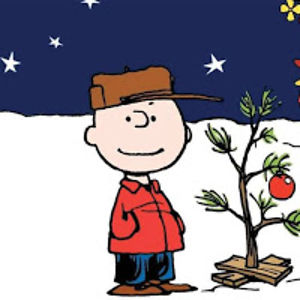 katherineperigo avatar