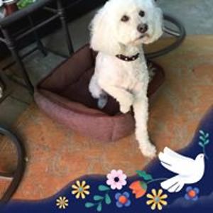 barbaraann1703 avatar