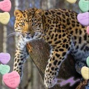 eleanoruy_jansen62 avatar