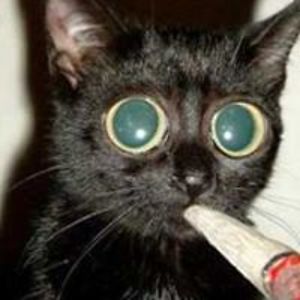 phil_n_deblanc1 avatar