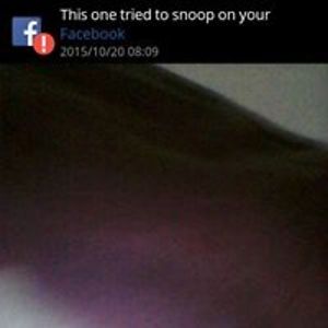 sunny_bun911_sm avatar