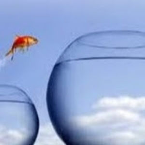 jacquelinelambert avatar