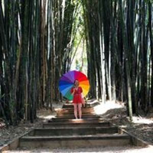 martinaholubik avatar