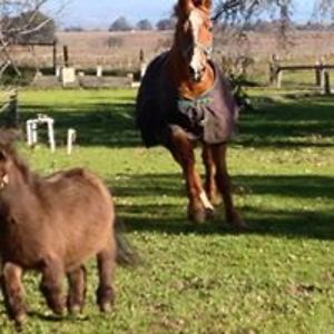 kris_moriarty avatar