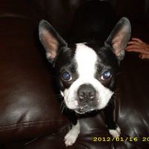 sandramariebrooks avatar