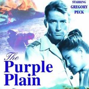 travelverifyme avatar