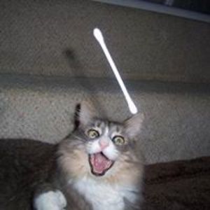 godwasabigindian avatar