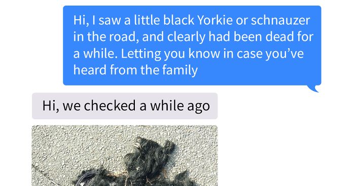 Someone Calls Police About A Dead Dog, Dies From Laughter After They Write Back