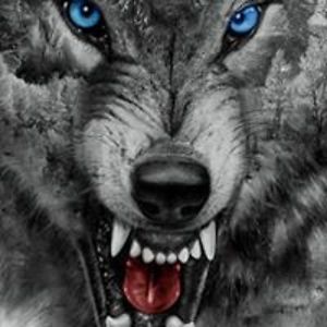 garrisonkidsduo2 avatar