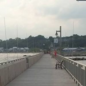 restlessfeline avatar