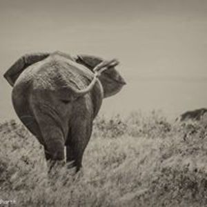 mailersannonymous avatar