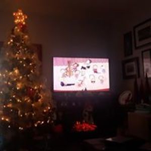 bonniepettenonfacebook avatar