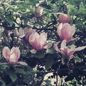 barbara_ann_p_jones avatar