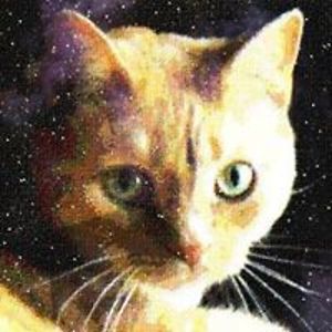 graciecat1954 avatar