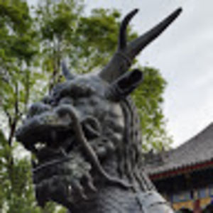 govertriekurd avatar