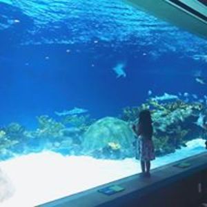 hiroko_stolcpart avatar