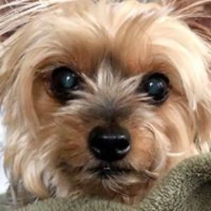 alainamichelle2 avatar