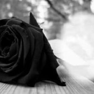 stephanie_lopes_69 avatar