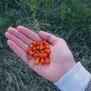 marinavandijck avatar