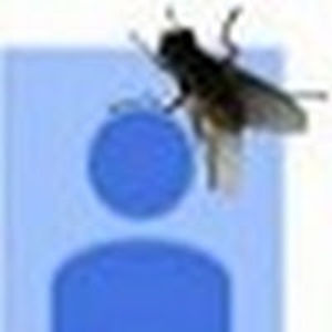 sebastiansavage avatar