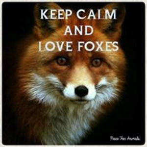 arestlessspirit avatar