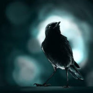 grasiemoonflower avatar