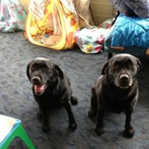 radarkeiselis avatar