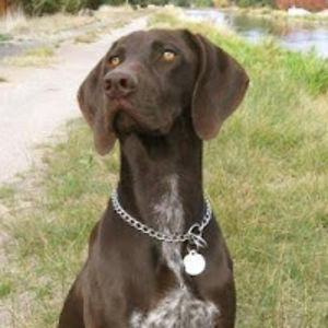 ca2026peckman avatar