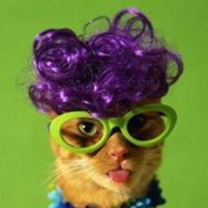 myrealtorjane avatar