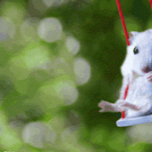 carolynyancey avatar