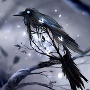 velvet_transformer avatar