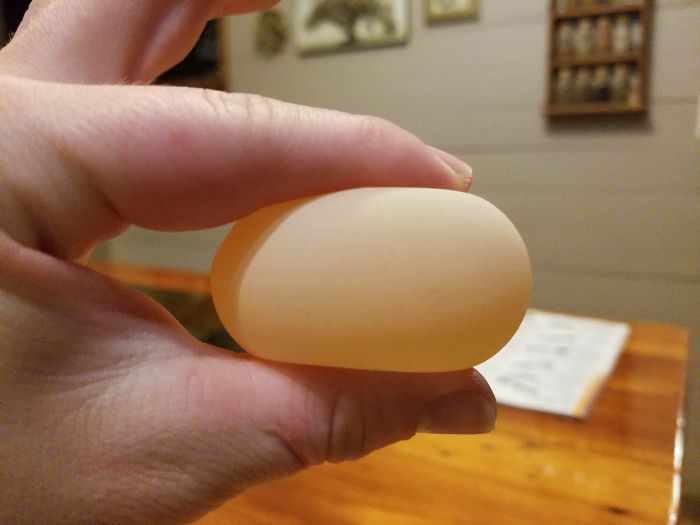Occasionally Our Chickens Will Lay An Egg With No Shell, Just A Soft Membrane Sack