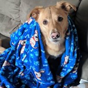 jackie_gaffey avatar