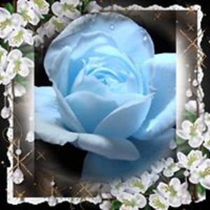 ashleydance2000 avatar