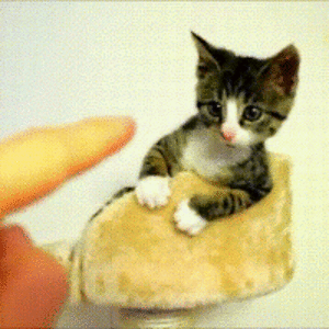 brooklynncasey avatar