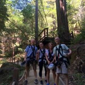 suzannetdonahue avatar