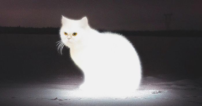 37 Surreal Photo Manipulations By Zulkarnain Ismail That Challenge Logic