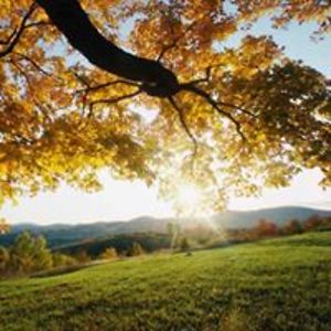 victoriana953 avatar