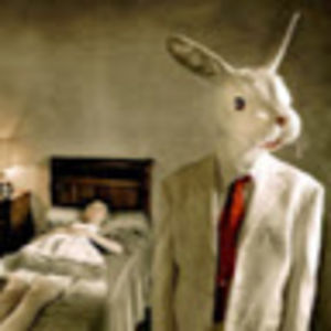 liamnewton-harding avatar