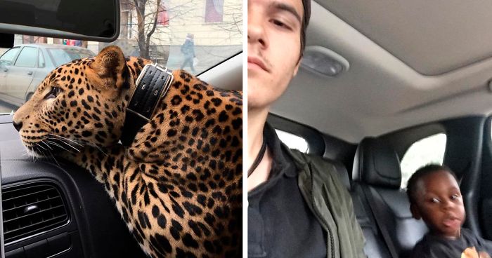 45 Photos From Taxi And Uber Rides That People Just Had To Share
