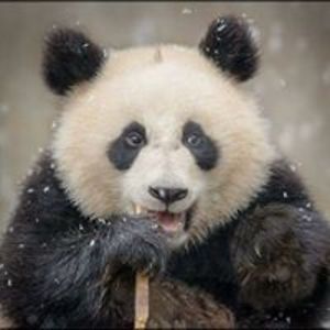 boy_chocolate1987 avatar