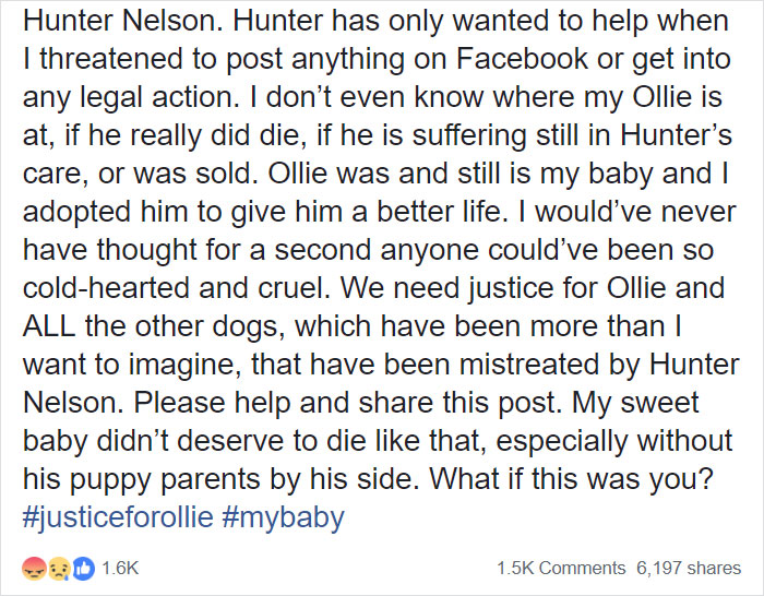 A Dog Trainer Who Allegedly Killed Or Sold A Dog In His Care Asked Not To Post His Texts On Social Media - Here They Are A Dog Trainer Who Allegedly Killed Or Sold A Dog In His Care Asked Not To Post His Texts On Social Media - Here They Are
