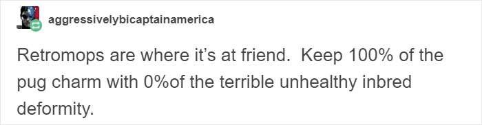 “Pugs Are Not Cute, [They’re] Malformed, Sick Animals That Shouldn’t Exist”: This Tumblr Thread May Change The Way You See Pugs