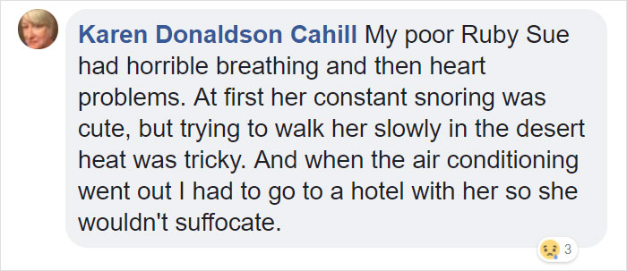 “Pugs Are Not Cute, [They’re] Malformed, Sick Animals That Shouldn’t Exist”: This Tumblr Thread May Change The Way You See Pugs