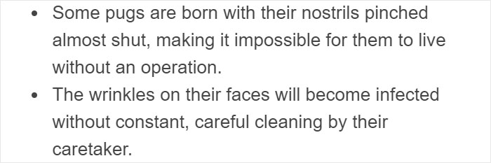 “Pugs Are Not Cute, [They’re] Malformed, Sick Animals That Shouldn’t Exist”: This Tumblr Thread May Change The Way You See Pugs