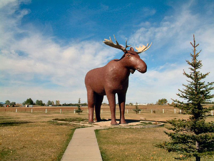 Norway Builds World's Tallest Moose Statue, Canada Strikes Back