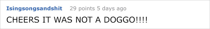 Someone Calls Police About A Dead Dog, Dies From Laughter After They Write Back Someone Calls Police About A Dead Dog, Dies From Laughter After They Write Back