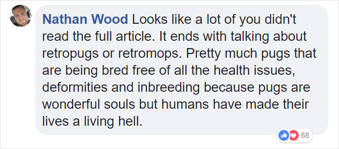 “Pugs Are Not Cute, [They’re] Malformed, Sick Animals That Shouldn’t Exist”: This Tumblr Thread May Change The Way You See Pugs