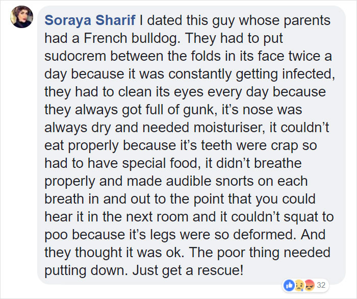 “Pugs Are Not Cute, [They’re] Malformed, Sick Animals That Shouldn’t Exist”: This Tumblr Thread May Change The Way You See Pugs