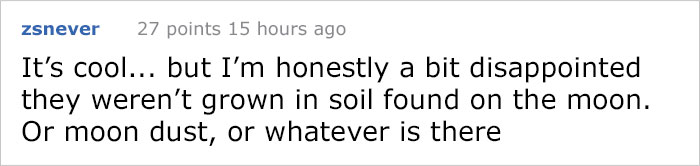 China Grows Moon's First Plant, Makes History China Grows Moon's First Plant, Makes History